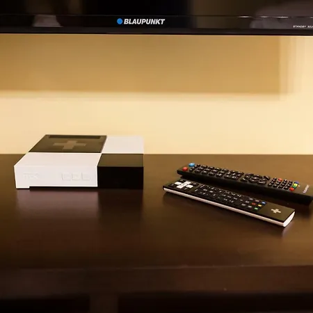 아파트 Czar Garbar 포즈난